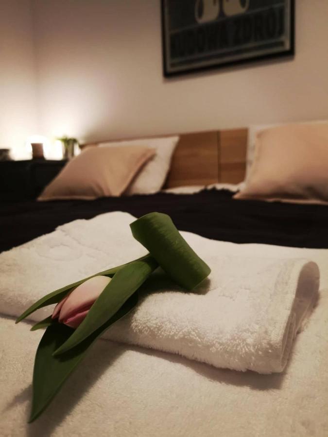 Apartament Wrzosowa 25 Kudowa-Zdrój Exteriör bild